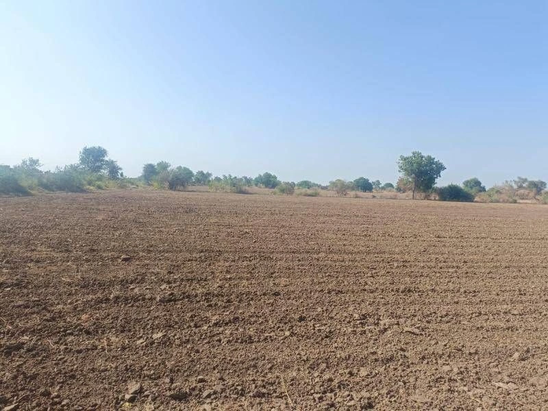 WJG3+V8W, Sihali Kalan, Rajasthan 301401, India