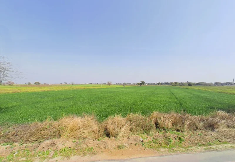 Zahidpur, Haryana 124103, India preview 3