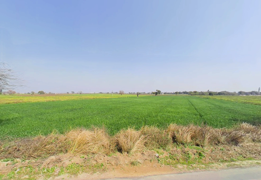 Zahidpur, Haryana 124103, India