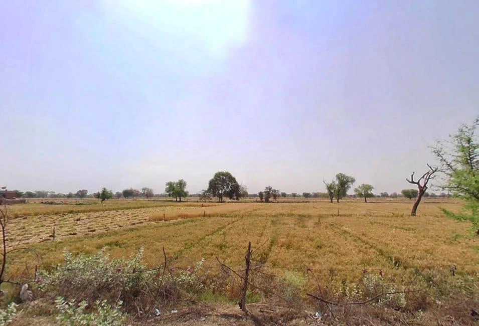 Mala Khera, Rajasthan 301406, India