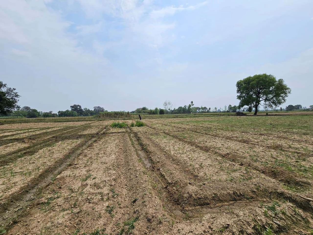 Hindoli, Rajasthan 323023, India