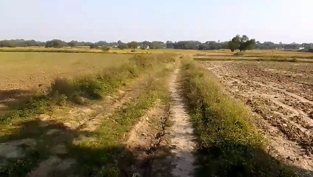 Patel Nagar, Uttar Pradesh 212106, India