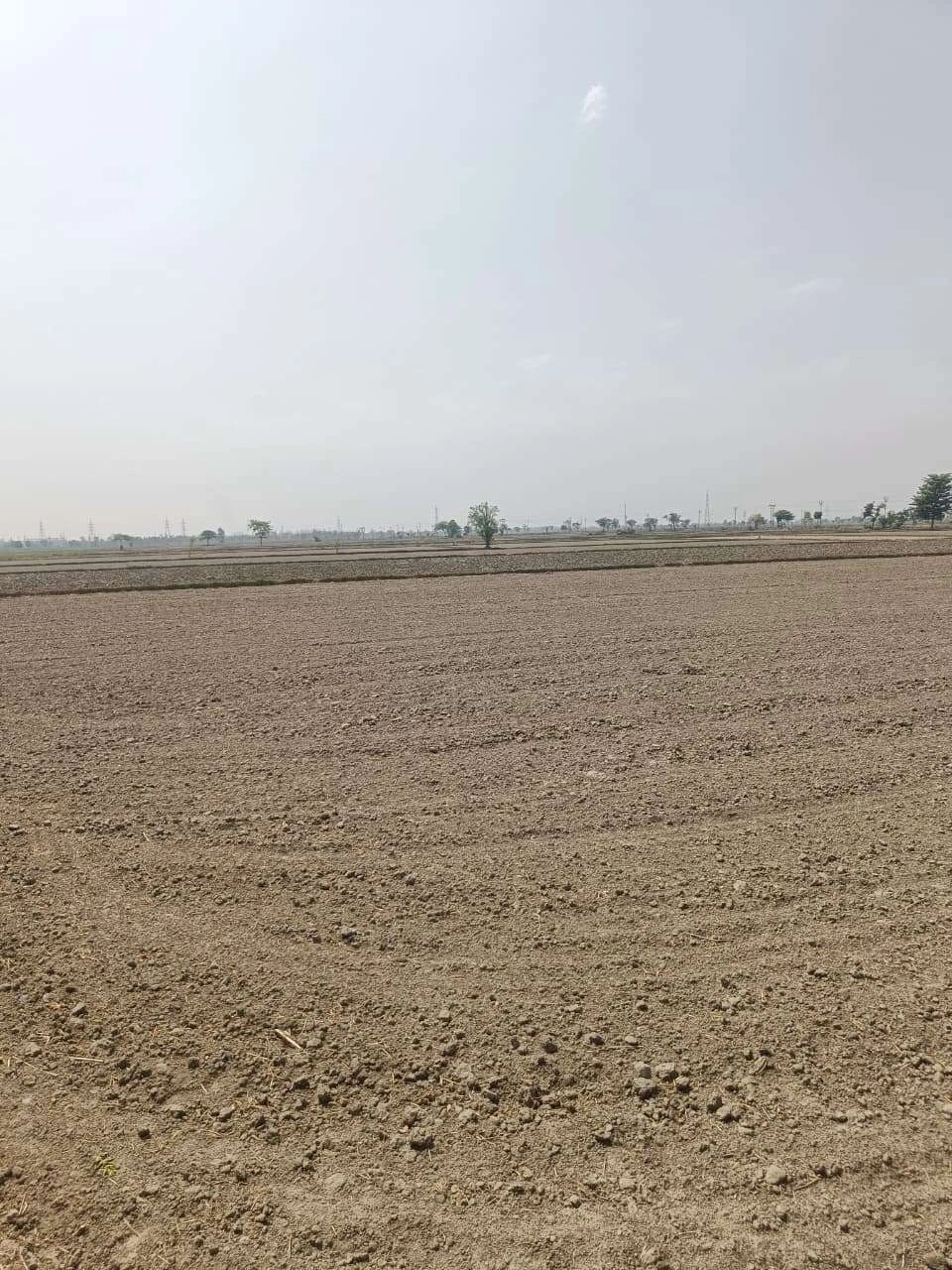 Aou, Rajasthan, India preview 3