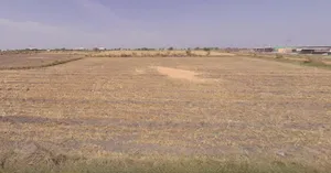 Virochannagar, Gujarat 382170, India preview 3