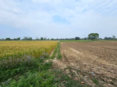 Nigohi, Shahjahanpur, Uttar Pradesh 242407, India preview 2