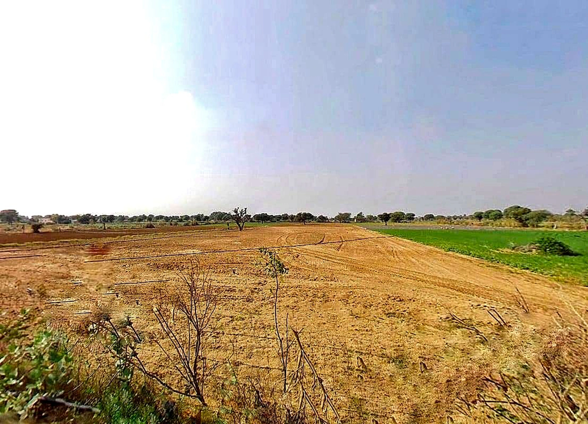 2MRC+GR Sardarpura, Rajasthan, India