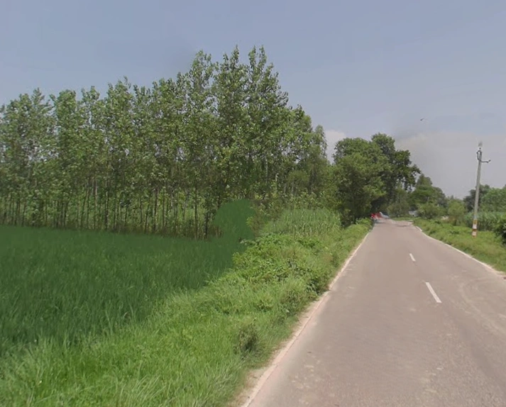 Behat, Uttar Pradesh 247121, India