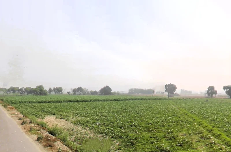 Murthal, Haryana, India preview 2