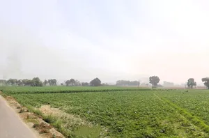 Murthal, Haryana, India preview 2