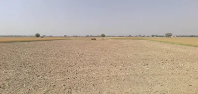 Ranverikalla, Gujarat 396560, India preview 3