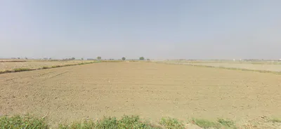 Ranverikalla, Gujarat 396560, India preview 2