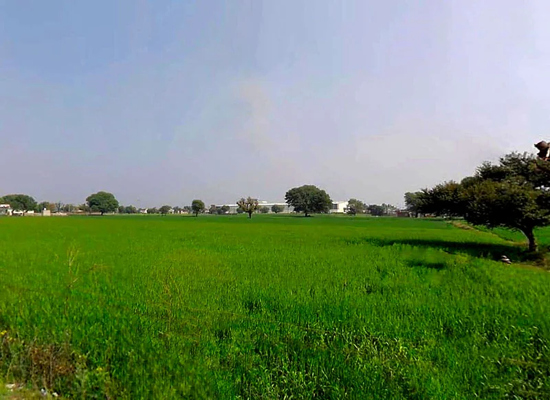 3PRR+46W, Tantiyawas, Rampura Dabri, Rajasthan 303704, India preview 3