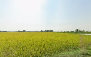 Moga, Punjab, India preview 3