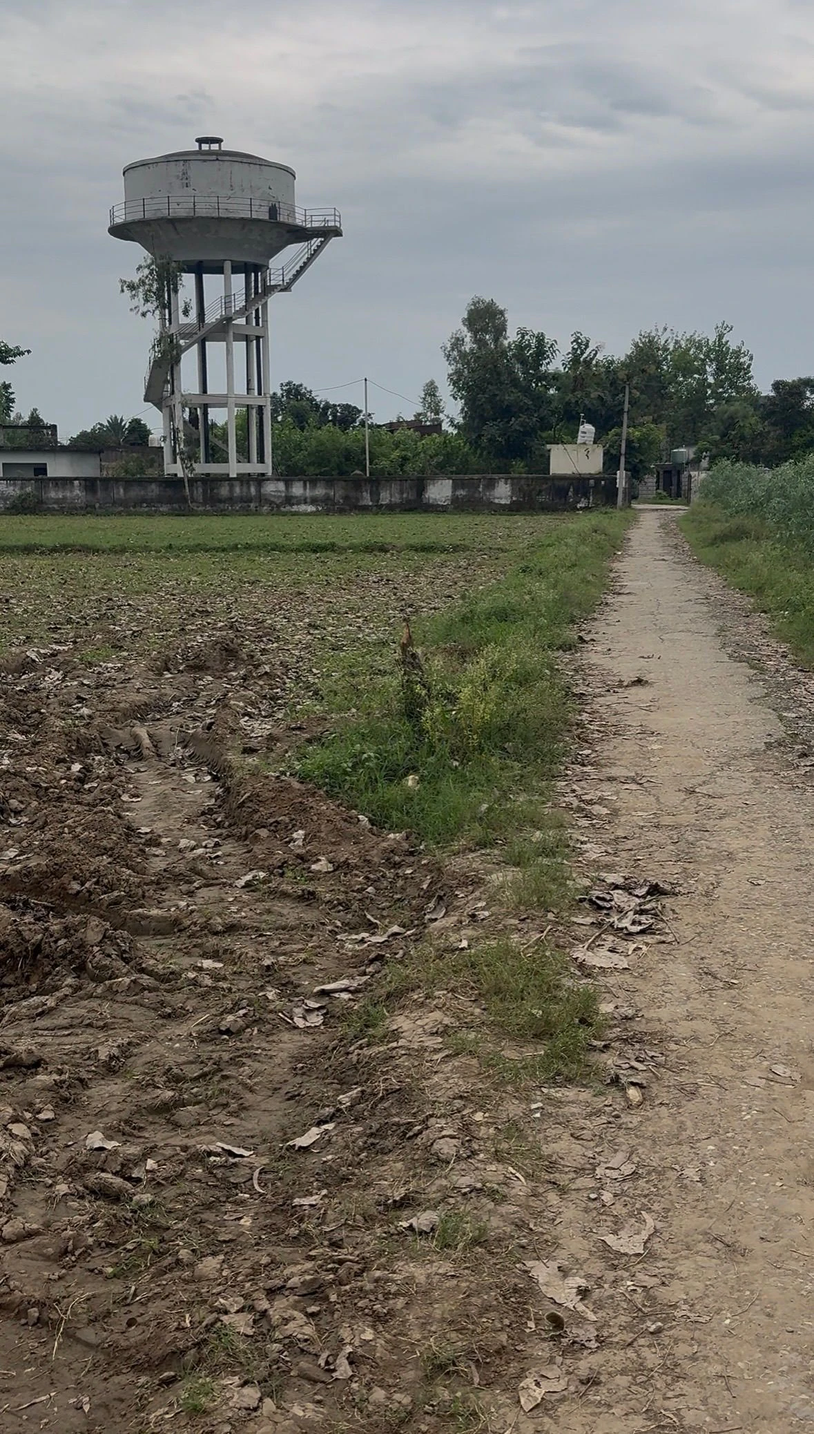 Chilkana, Saharanpur, Uttar Pradesh 247231, India