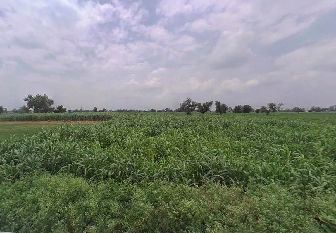 Bharatpur Rd, Semli, Rajasthan, India
