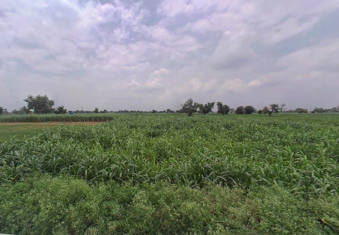Bharatpur Rd, Semli, Rajasthan, India