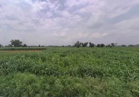 Bharatpur Rd, Semli, Rajasthan, India preview 3