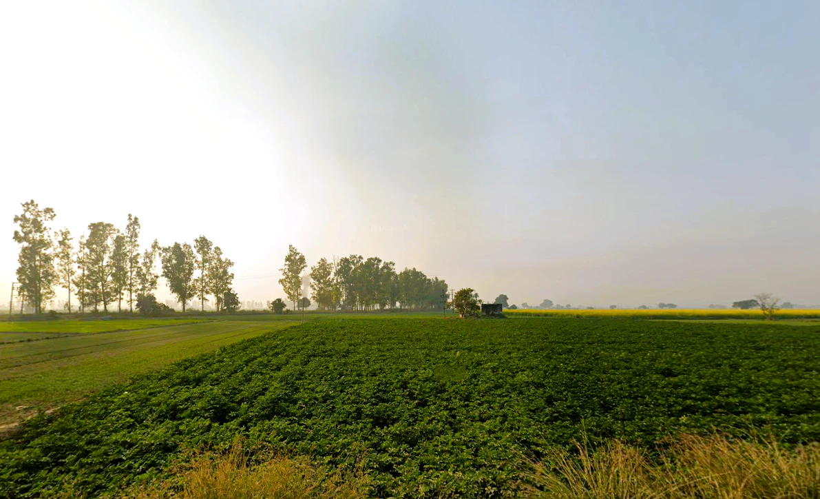 Nissing, Haryana 132024, India