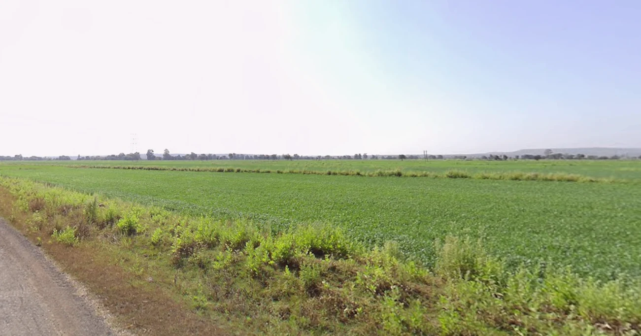 Obaidullaganj, Madhya Pradesh 464993, India