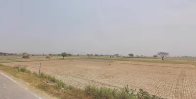 Lawar NP, Uttar Pradesh 250222, India preview 2