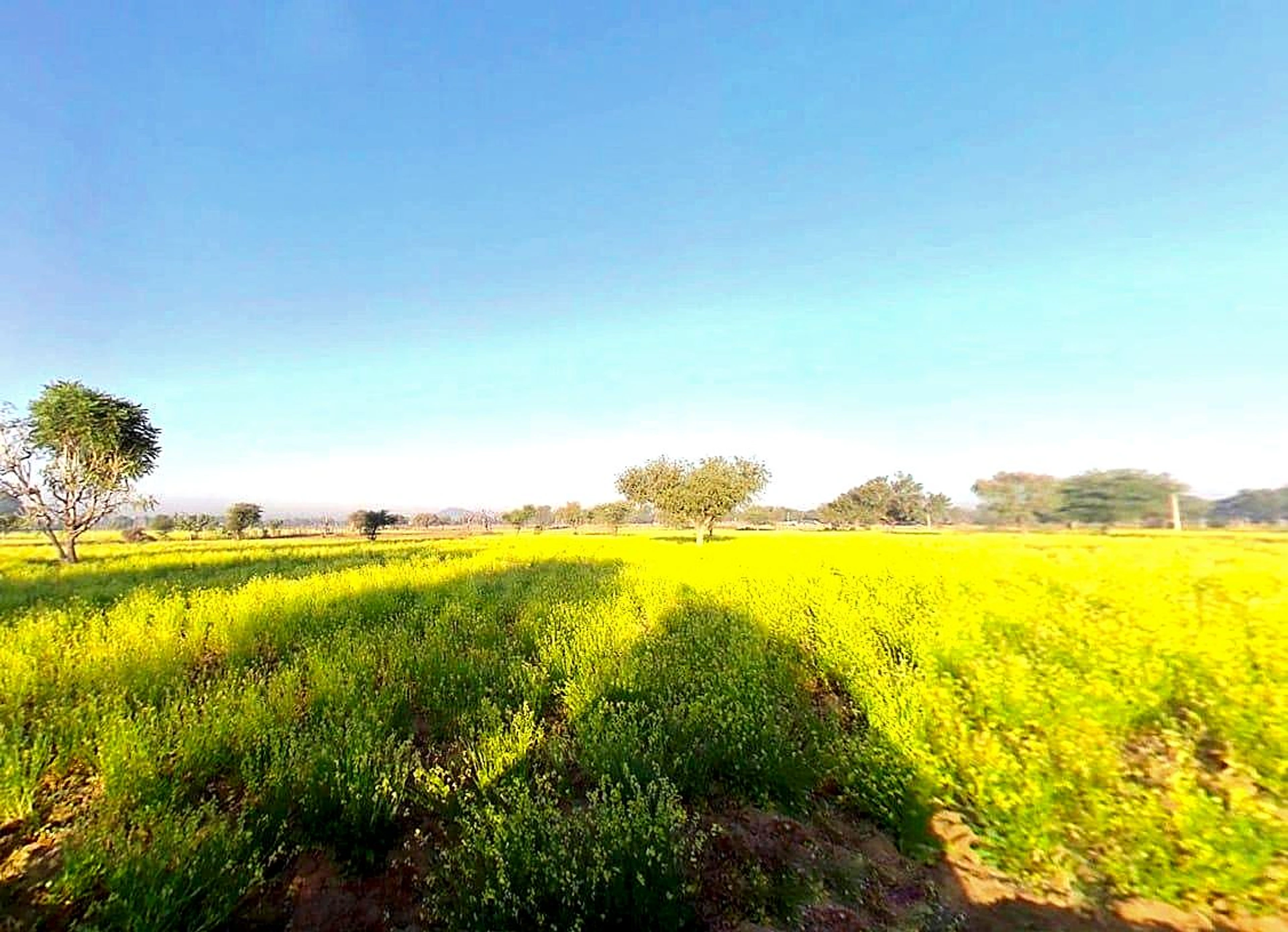 Khejrawas, Rajasthan 303124, India