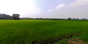 Sarai Banjara, Punjab 140402, India preview 2