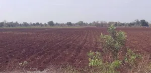 Chandur, Maharashtra 416138, India preview 2