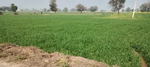 Seetal, Rajasthan 301021, India preview 3