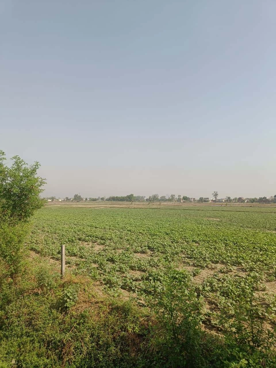 Ajhai Kalan, Uttar Pradesh 281406, India
