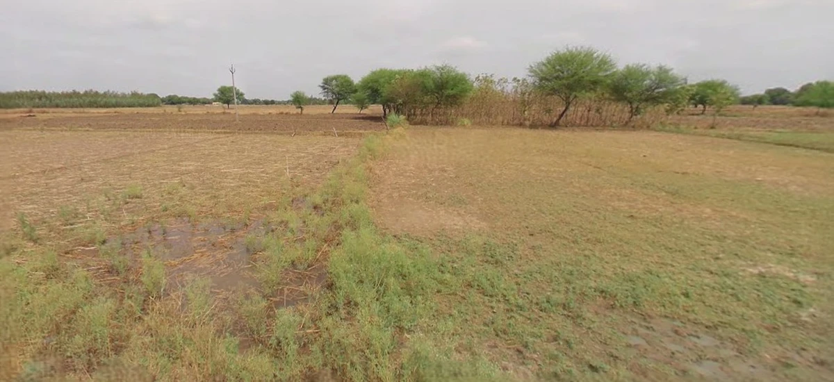 Jhajjar, Haryana 124103, India