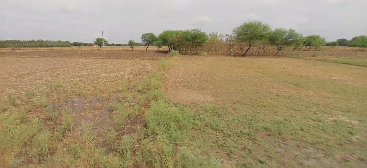 Jhajjar, Haryana 124103, India