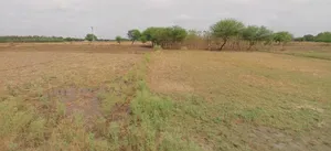 Jhajjar, Haryana 124103, India preview 3