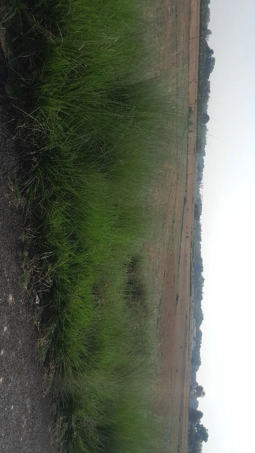P5F5+58Q, Masaudha, Malik Pur, Dabha Semar, Uttar Pradesh 224133, India