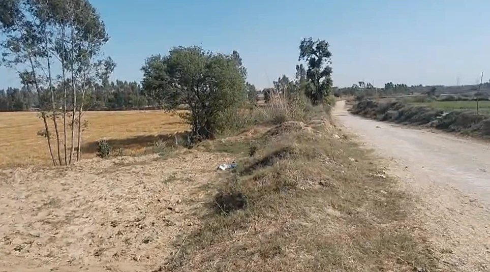 Raipur Rani, Haryana 134204, India