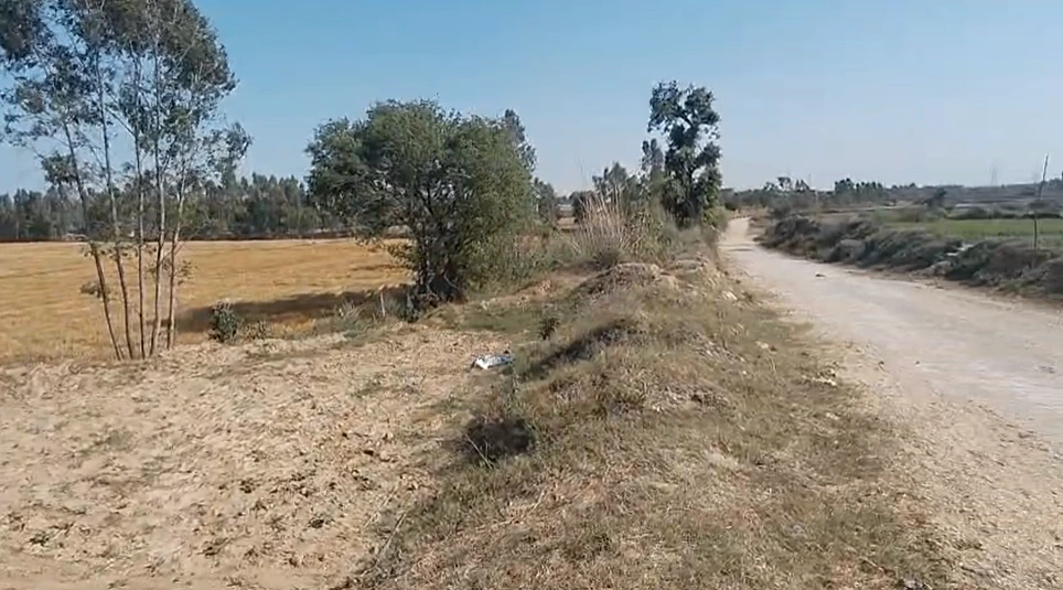 Raipur Rani, Haryana 134204, India