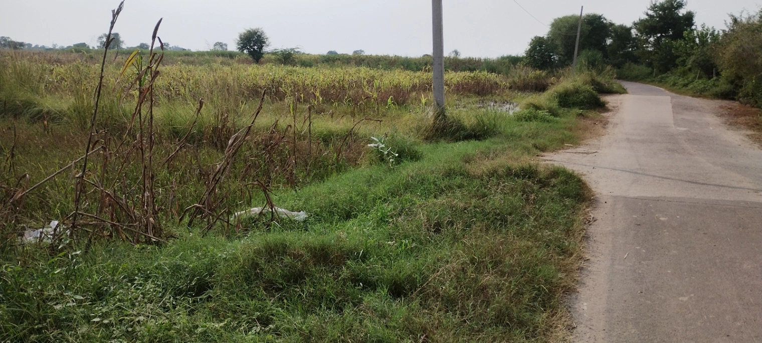 Nagla Faujdar, Rajasthan 321203, India