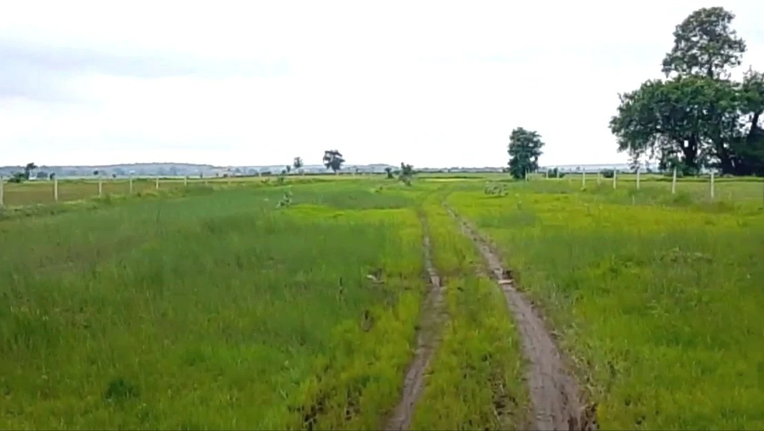 Barethi, Madhya Pradesh 471313, India