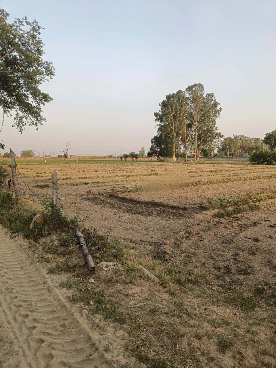 Chandauri, Uttar Pradesh, India