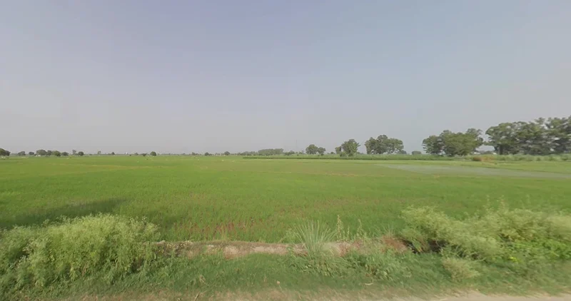 Basta, Odisha, India preview 3