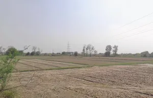 Kassar Rd, Kasaar, Haryana 124508, India preview 2