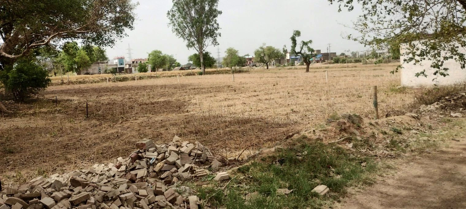 Ronpur, Rajasthan, India