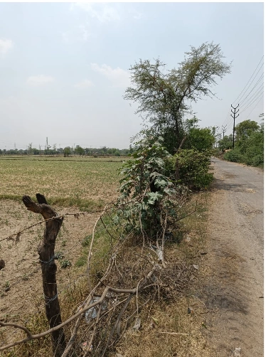 Bandri, Sagar, Madhya Pradesh 470442, India preview 2