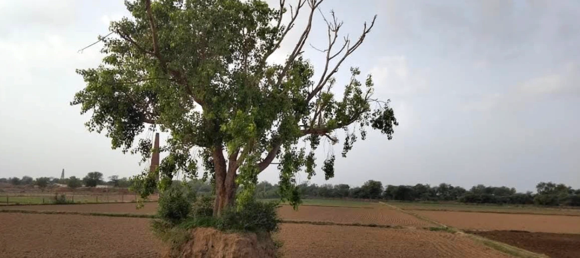 6H59+VQM, Rewari, Khargwas, Haryana 123401, India