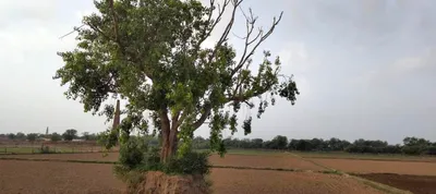 6H59+VQM, Rewari, Khargwas, Haryana 123401, India preview 2
