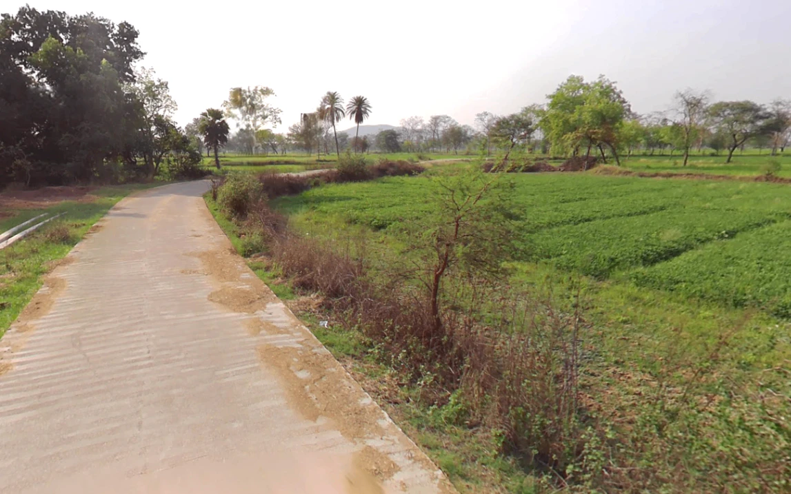 Village& post -sankari, WQMH+VHF, teh, Kurud, Chhattisgarh 493663, India