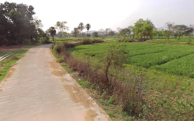 Village& post -sankari, WQMH+VHF, teh, Kurud, Chhattisgarh 493663, India preview 2