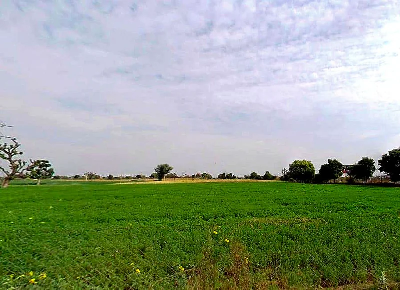 Jan Path, Pratik Nagar, Jhotwara, Jaipur, Rajasthan 302012, India preview 3