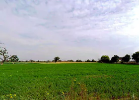 Jan Path, Pratik Nagar, Jhotwara, Jaipur, Rajasthan 302012, India preview 3