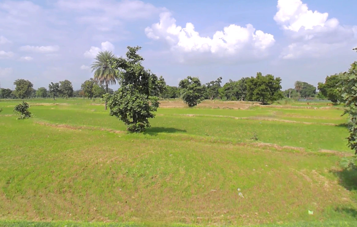 Daganiya, Chhattisgarh, India