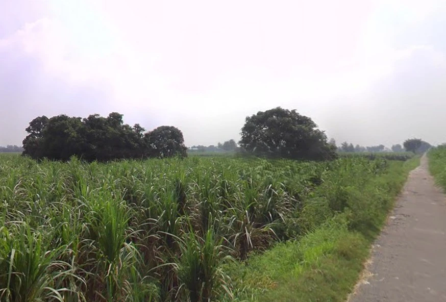 Khirwa Rd, Nangla Tashi, Meerut, Uttar Pradesh, India